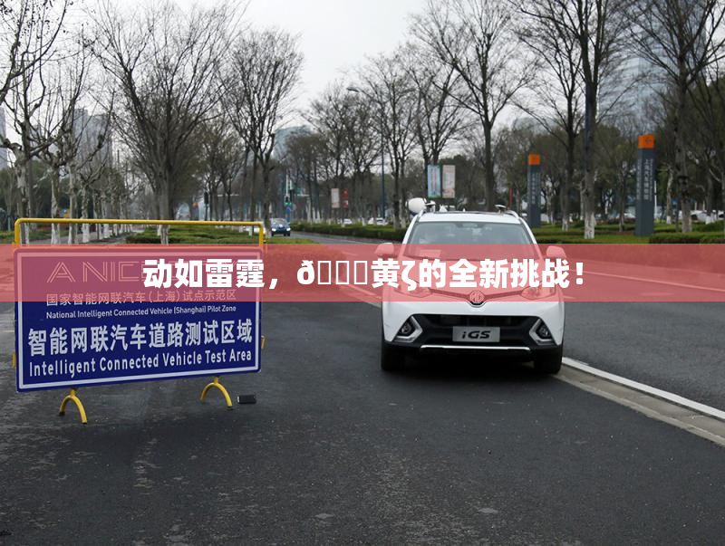 动如雷霆，🔞黄ζ的全新挑战！