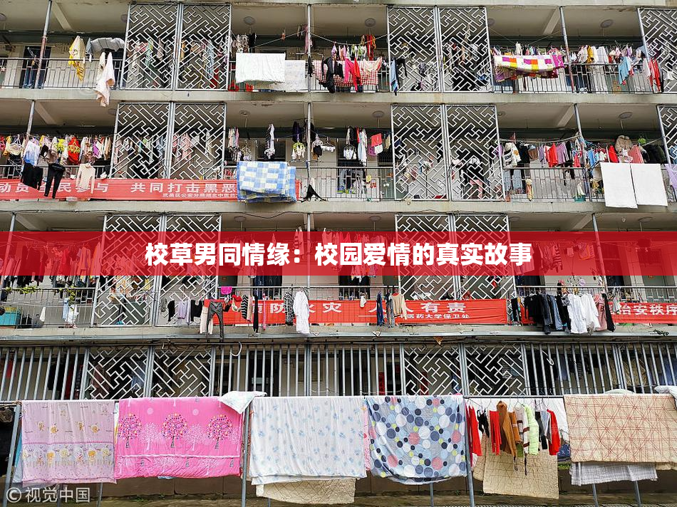 校草男同情缘：校园爱情的真实故事