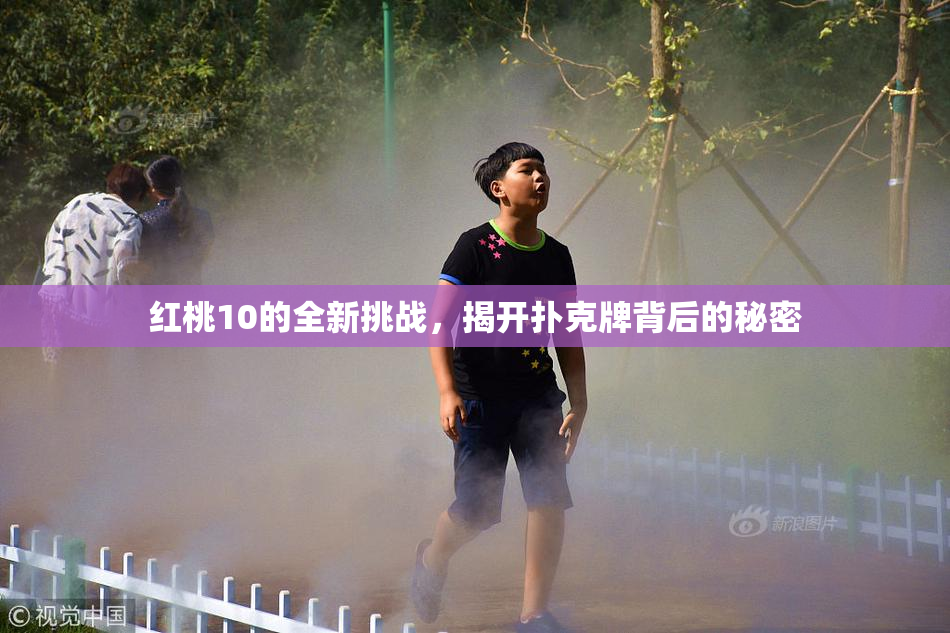 红桃10的全新挑战，揭开扑克牌背后的秘密