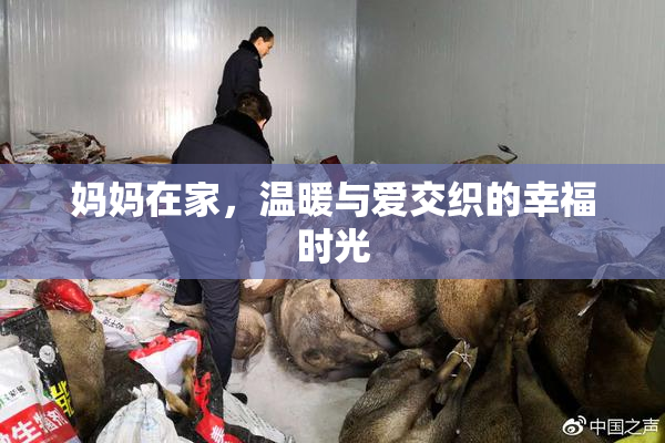 妈妈在家，温暖与爱交织的幸福时光
