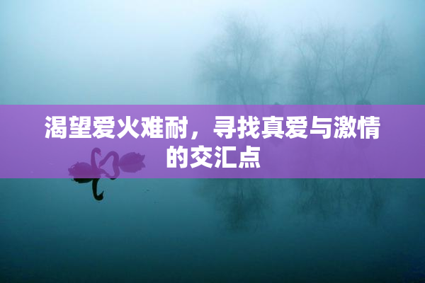渴望爱火难耐，寻找真爱与激情的交汇点
