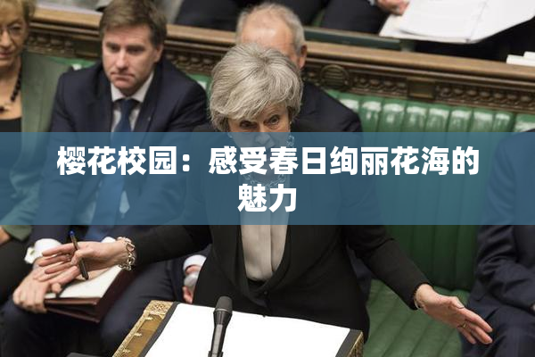 樱花校园：感受春日绚丽花海的魅力