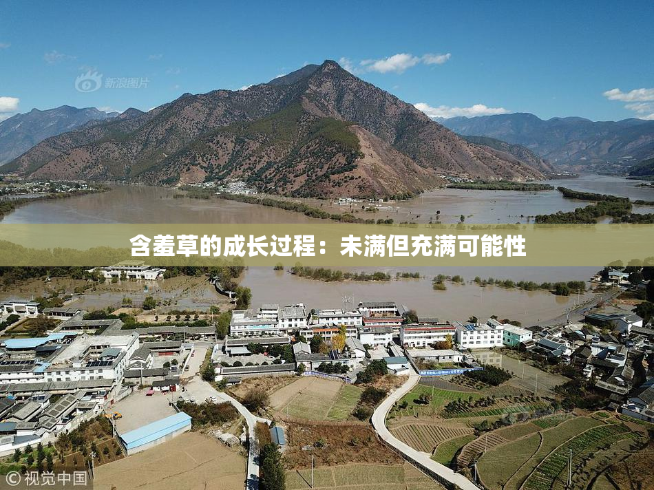 含羞草的成长过程：未满但充满可能性