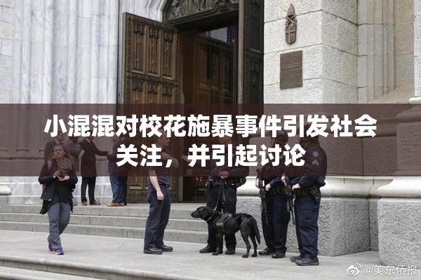 小混混对校花施暴事件引发社会关注，并引起讨论