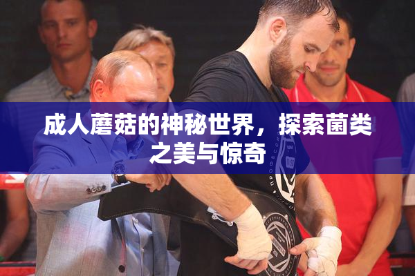 成人蘑菇的神秘世界，探索菌类之美与惊奇