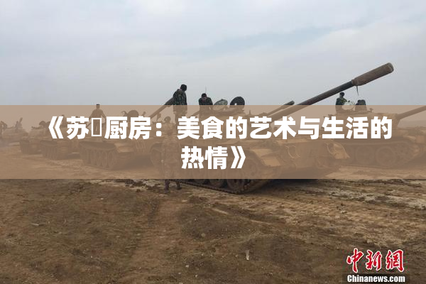 《苏玥厨房：美食的艺术与生活的热情》