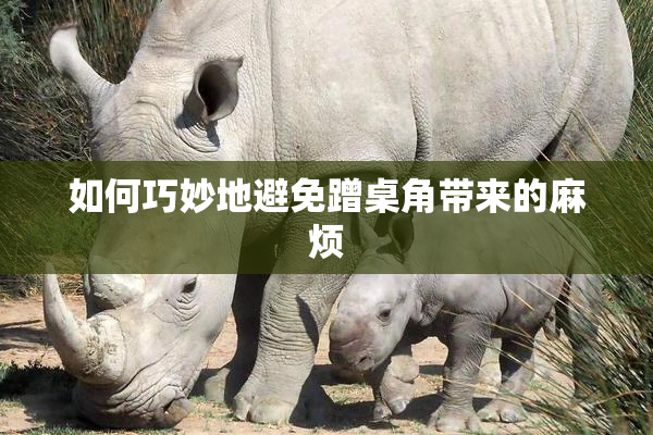 如何巧妙地避免蹭桌角带来的麻烦