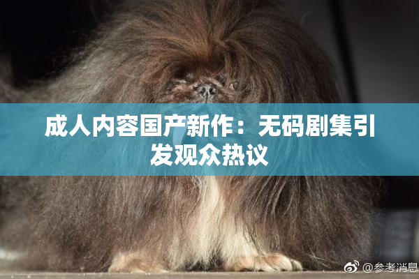 成人内容国产新作：无码剧集引发观众热议