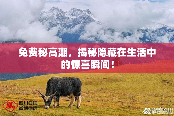 免费秘高潮，揭秘隐藏在生活中的惊喜瞬间！