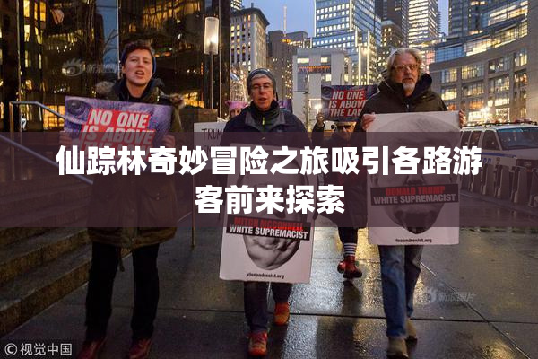 仙踪林奇妙冒险之旅吸引各路游客前来探索