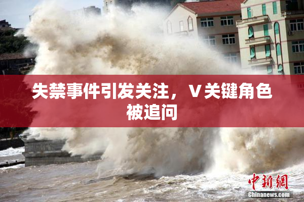 失禁事件引发关注，Ⅴ关键角色被追问