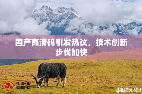 国产高清码引发热议，技术创新步伐加快