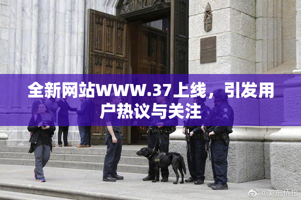 全新网站WWW.37上线，引发用户热议与关注