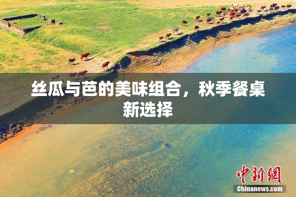 丝瓜与芭的美味组合，秋季餐桌新选择