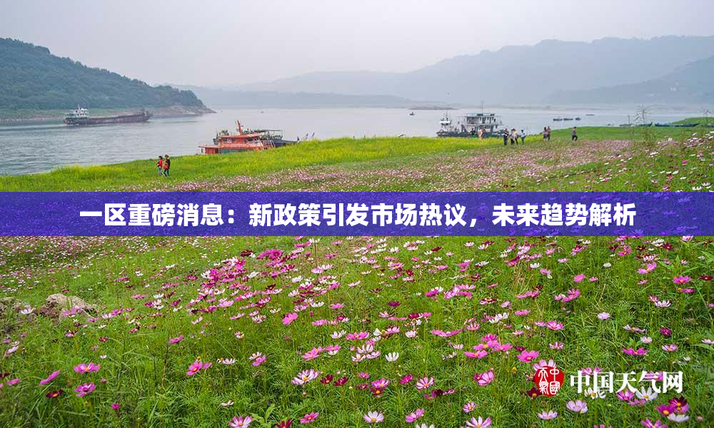 一区重磅消息：新政策引发市场热议，未来趋势解析