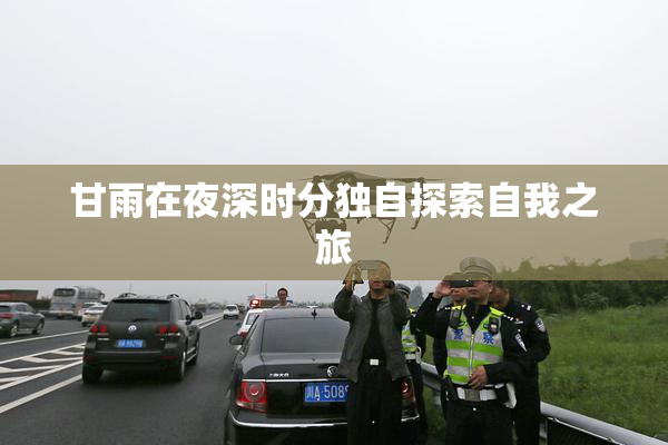 甘雨在夜深时分独自探索自我之旅