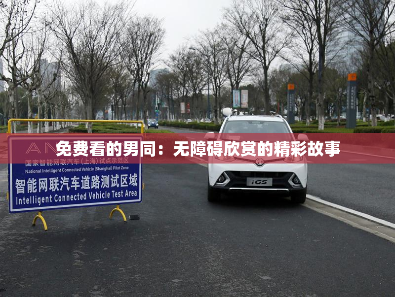 免费看的男同：无障碍欣赏的精彩故事
