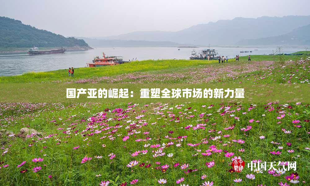 国产亚的崛起：重塑全球市场的新力量