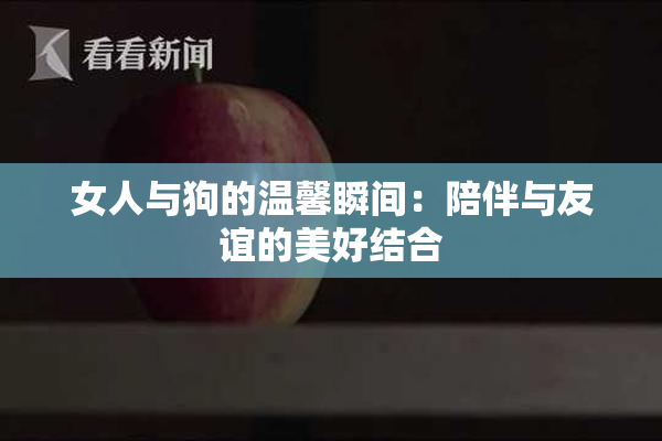 女人与狗的温馨瞬间：陪伴与友谊的美好结合