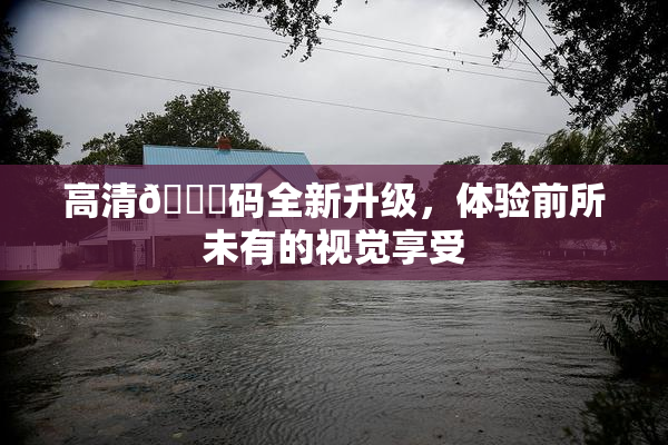 高清🈚码全新升级，体验前所未有的视觉享受