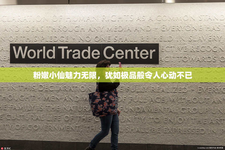 粉嫩小仙魅力无限，犹如极品般令人心动不已
