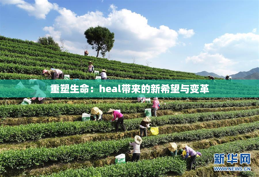 重塑生命：heal带来的新希望与变革