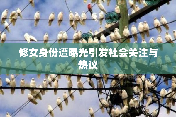 修女身份遭曝光引发社会关注与热议