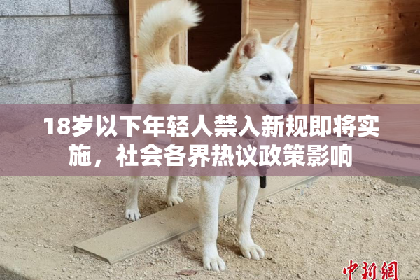 18岁以下年轻人禁入新规即将实施，社会各界热议政策影响