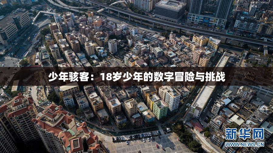 少年骇客：18岁少年的数字冒险与挑战