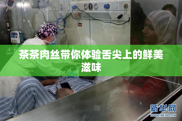 茶茶肉丝带你体验舌尖上的鲜美滋味