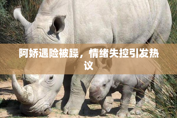 阿娇遇险被躁，情绪失控引发热议