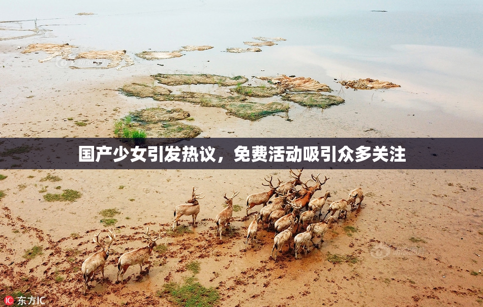 国产少女引发热议，免费活动吸引众多关注