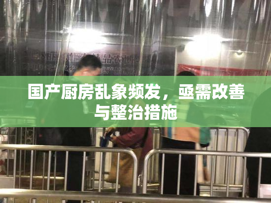 国产厨房乱象频发，亟需改善与整治措施