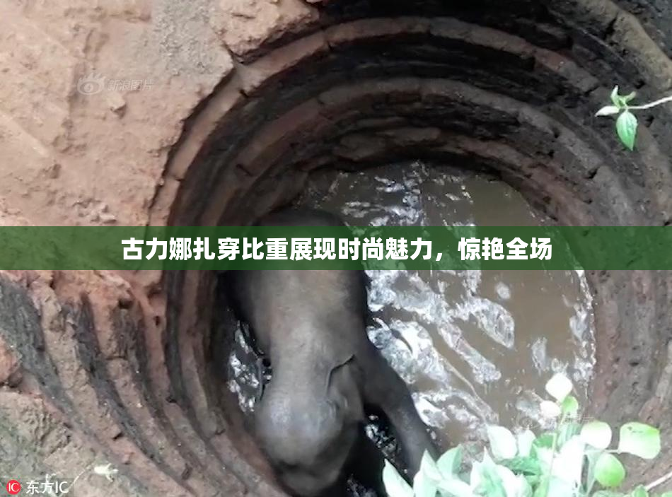 古力娜扎穿比重展现时尚魅力，惊艳全场