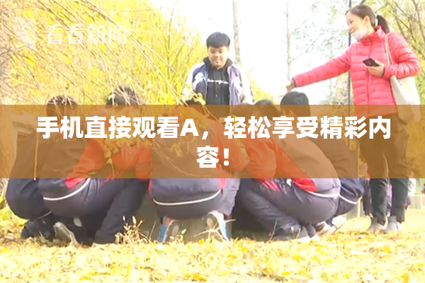 手机直接观看A，轻松享受精彩内容！