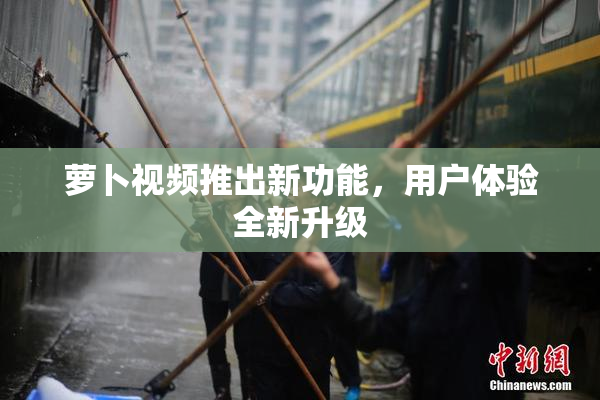萝卜视频推出新功能，用户体验全新升级