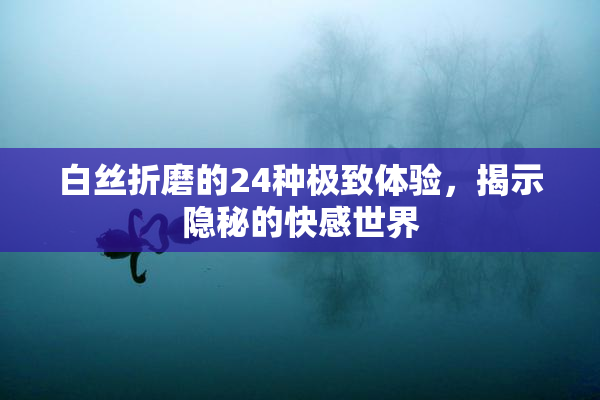 白丝折磨的24种极致体验，揭示隐秘的快感世界