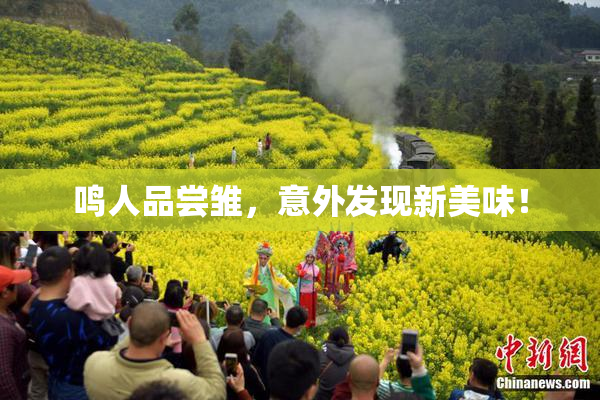 鸣人品尝雏，意外发现新美味！