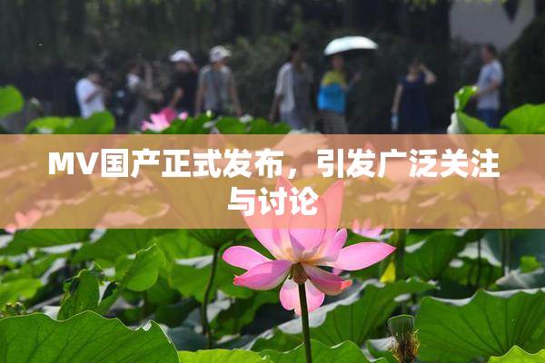 MV国产正式发布，引发广泛关注与讨论