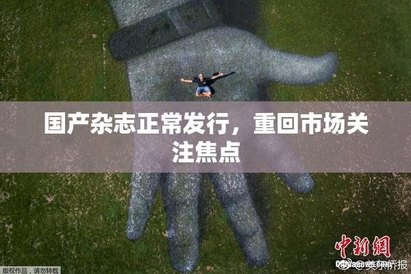 国产杂志正常发行，重回市场关注焦点
