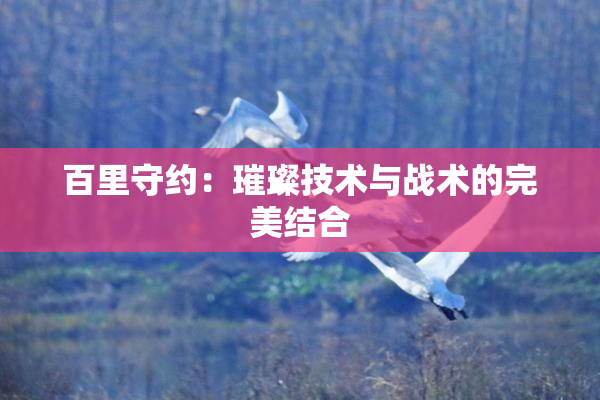 百里守约：璀璨技术与战术的完美结合