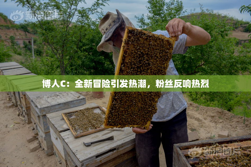 博人C：全新冒险引发热潮，粉丝反响热烈