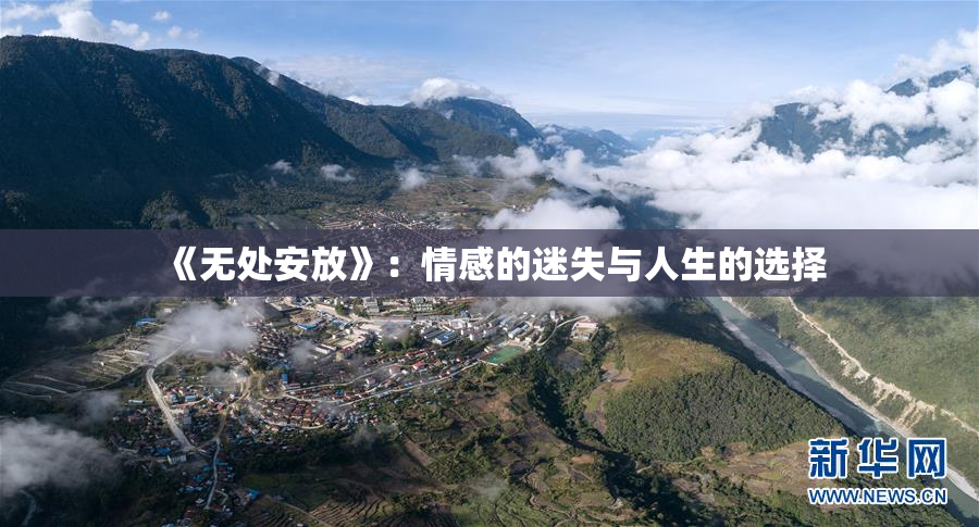 《无处安放》：情感的迷失与人生的选择