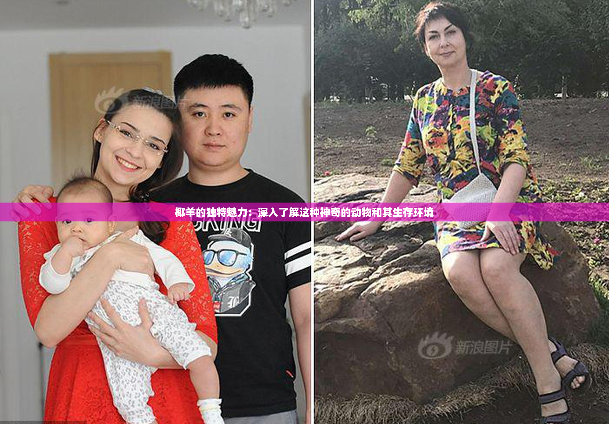 椰羊的独特魅力：深入了解这种神奇的动物和其生存环境