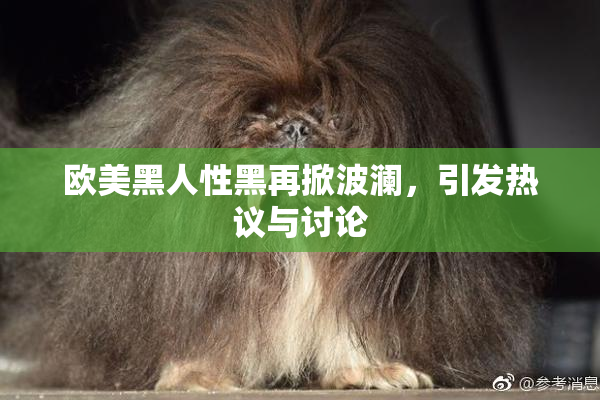 欧美黑人性黑再掀波澜，引发热议与讨论