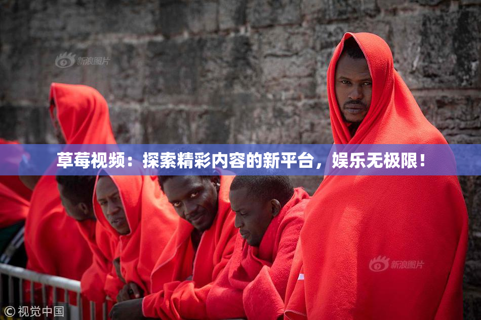 草莓视频：探索精彩内容的新平台，娱乐无极限！