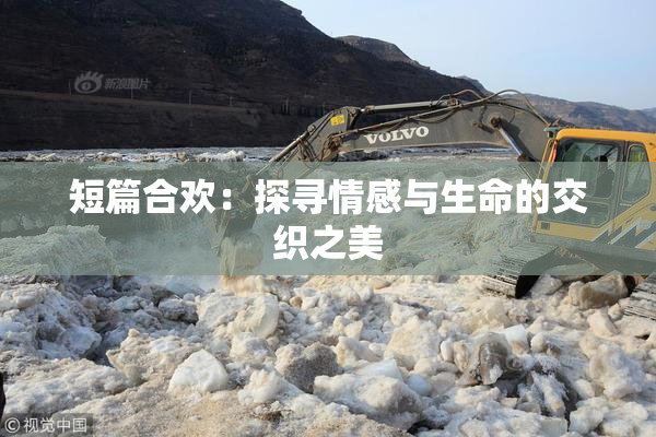 短篇合欢：探寻情感与生命的交织之美