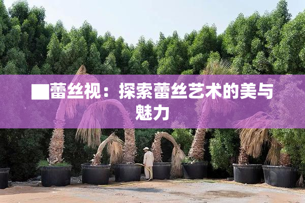 ▇蕾丝视：探索蕾丝艺术的美与魅力