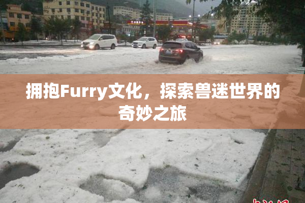 拥抱Furry文化，探索兽迷世界的奇妙之旅