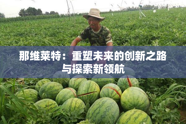 那维莱特：重塑未来的创新之路与探索新领航